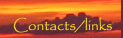 Contacts and links Contacts/Links link button