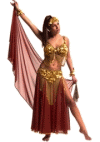 Picture of Belly Dancer