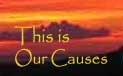This is our causes.